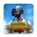 PUBGMOBILE国际服官方正版v2.9.0安卓版