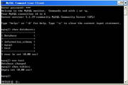 Apache HTTP Server  2.2.22 For Windows