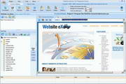 Website Extractor  10.52