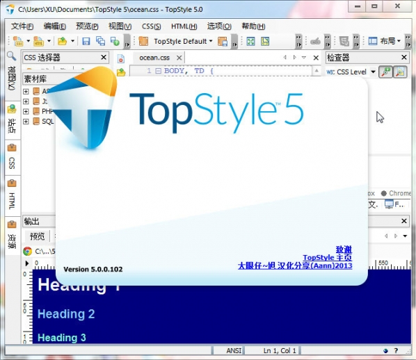 TopStyle Pro(CSS设计利器)  v5.0.0.104中文版