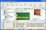 Offline Explorer Pro  7.0.4408