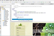 CoffeeCup Free HTML Editor  15.0