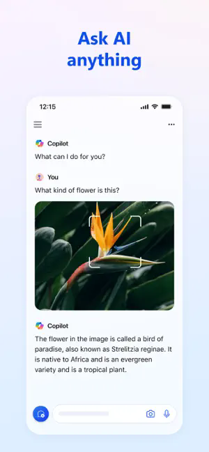 Microsoft Copilot APP截图1