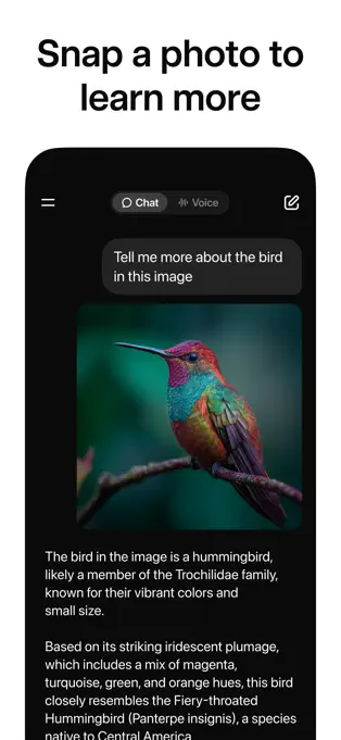 Grok APP截图2