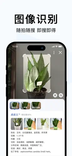 简单搜索APP截图2
