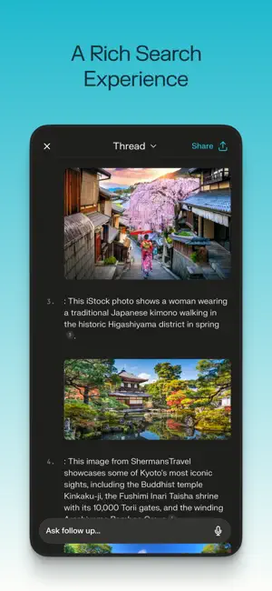 Perplexity APP截图3