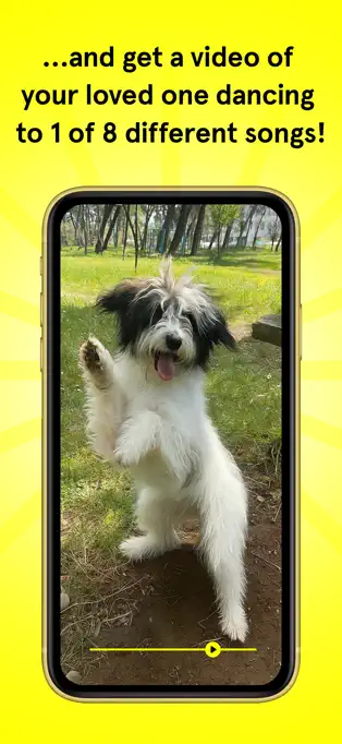 Dancing Dogs APP截图1